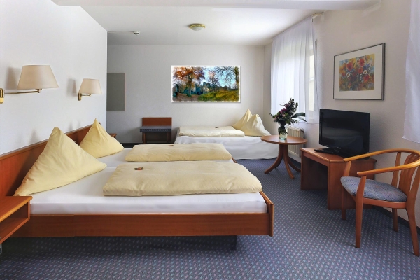 City Hotel Mark Michelstadt